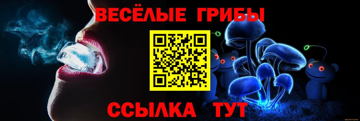 Крымск  Галлюциногенные грибы ЛСД  Вход с VPN 